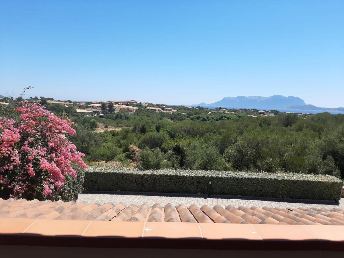 Il Corallo Rosso Appartement Olbia